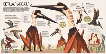 Дора Мартин: Все динозавры. Моя первая энциклопедия