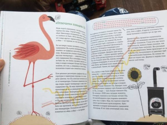 Хорст тер: Пальмы на Северном полюсе. Большой рассказ об изменении климата