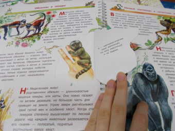 Владимир Бабенко: Животные
