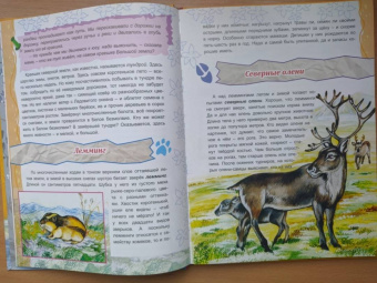 Тамара Николаева: Там, на неведомых дорожках...