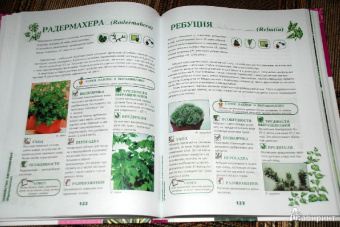 Иллюстрированная энциклопедия комнатных растений