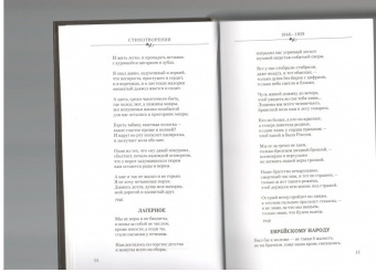 Борис Чичибабин: Всуперечь потоку. Стихотворения. Статьи. Эссе