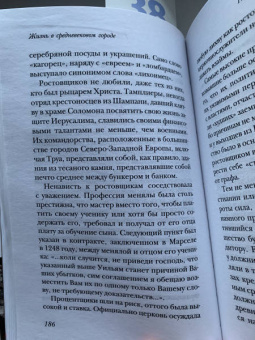 Гис, Гис: Жизнь в средневековом городе