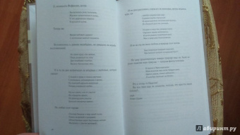 Игорь Северянин: Уснувшие весны. Критика. Мемуары. Скитания