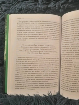 Йоси Гинсберг: Джунгли. В природе есть только один закон - выживание