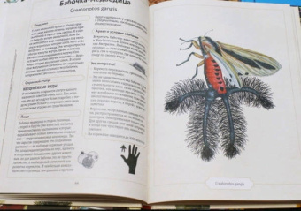 Сэми Бэйли: Энциклопедия удивительных животных