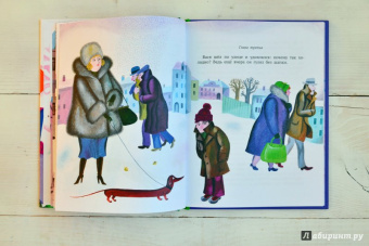 Софья Прокофьева: Не буду просить прощения