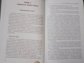 Татьяна Визель: Основы нейропсихологии. Теория и практика