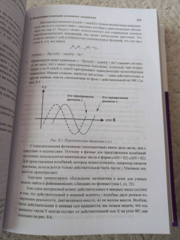 Арнольд Минделл: Квантовый ум. Грань между физикой и психологией