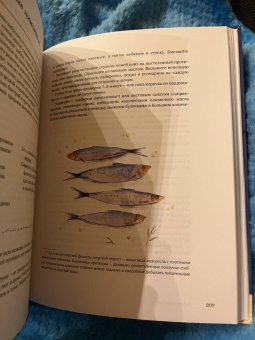 Элла Рисбриджер: Полуночная курица и другие рецепты, ради которых стоит жить