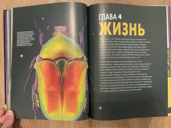 Брайт, О`Брайен, Митчелл: Britannica. Детская энциклопедия