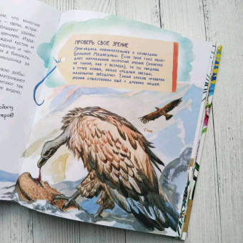 Танасийчук, Волцит, Альтшулер: Почемучкины сказки о животных