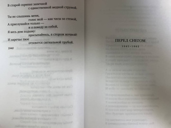 Арсений Тарковский: "Судьба моя сгорела между строк…"