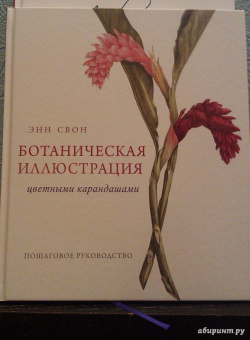 Энн Свон: Ботаническая иллюстрация цветными карандашами. Пошаговое руководство