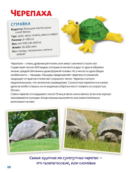 Лепим из пластилина крокодила, носорога, черепаху