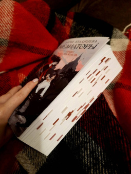 Дарья Буданцева: Медиаторы. Книга 1. Право на власть