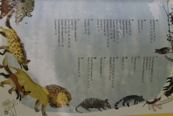 Зоммер, Тейлор: Большая книга зверей