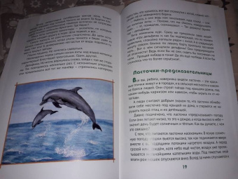 Татьяна Жданова: О том, как животные умеют дружить
