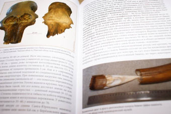 Андрей Шпанский: О мамонтах и их спутниках. Палеоэкология мамонтовой фауны