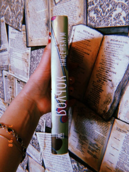 Михаил Нисенбаум: Волчок