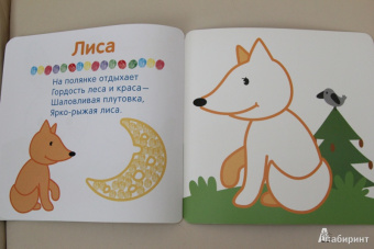 Мороз, Бурмистрова: В лесу