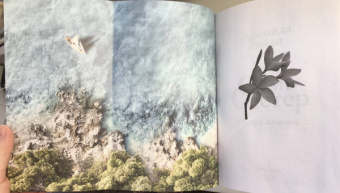 Люсинда Райли: Семь сестер. Сестра жемчуга