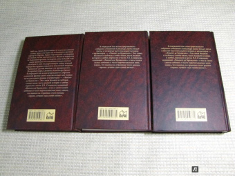 Александр Дюма: Виконт де Бражелон, или Еще десять лет спустя. Том 2