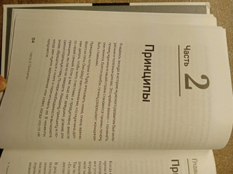 Павел Домрачев: Стальной характер. Принципы мужской психологии