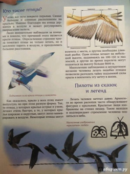 Евстигнеев, Ященко: Как человек научился летать?