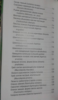 Матанцева, Матанцев: Грибы. Карманный справочник-определитель. Самые распространенные грибы и их двойники