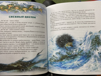 Сергей Козлов: Новогодняя сказка
