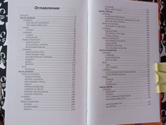 Стефани Скотт: Что осталось от меня - твоё