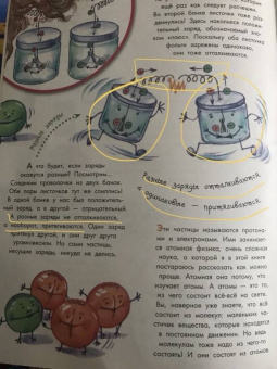 Петр Волцит: Из чего все сделано?