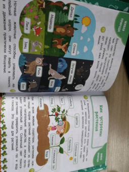 Наталия Баранова: Моя первая книга открытий. Для детей от 6-и лет