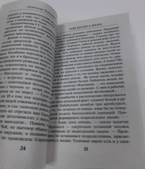 Александр Тамоников: Рейд ценою в жизнь