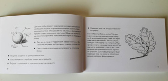 Анна Николаева: Скетчбук по ботанической иллюстрации. Простые пошаговые уроки по рисованию цветов и растений