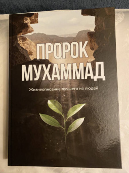 Ильдар Аляутдинов: Пророк Мухаммад. Жизнеописание лучшего из людей