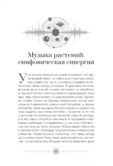 Хёртак, Хёртак: Звук. Глубокий опыт пения, тонинга, музыки и частот исцеления