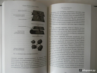 Китти Фергюсон: Стивен Хокинг:  жизнь и наука