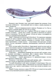 Владимир Козлов: Эволюция рыб. Учебное пособие для вузов