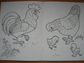 Татьяна Коваль: Домашние любимцы