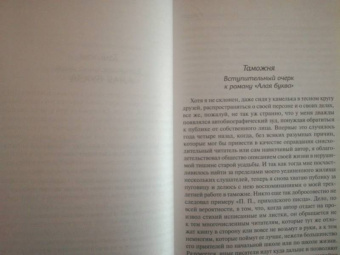 Натаниель Готорн: Алая буква