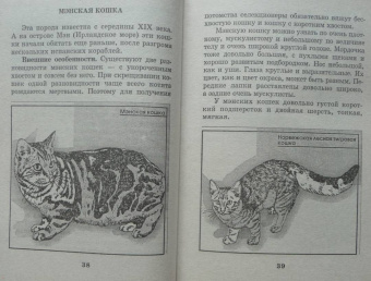 Мария Солодова: Чего хочет ваша кошка