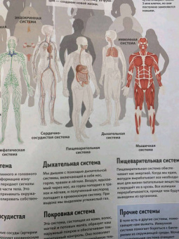 Маркус Джонсон: Тело человека. Виртуальная реальность