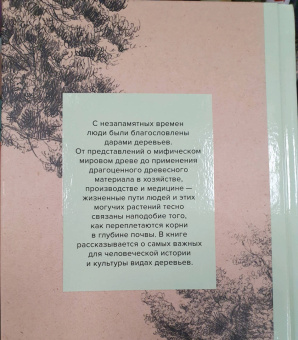Андреас Хазе: Деревья. Как жизни человека и дерева переплетены друг с другом