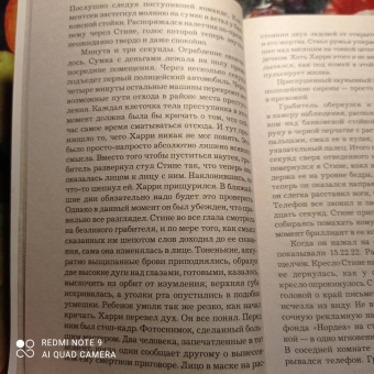 Ю Несбё: Немезида