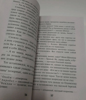 Валерий Шарапов: Игла смерти