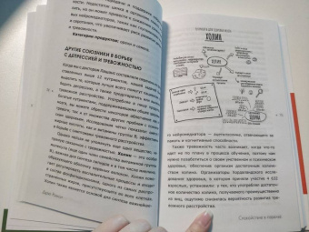 Дрю Рэмси: Спокойствие в тарелке. Книга о том, как победить тревожность