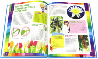 Энциклопедия для девочек и мальчиков. Что это?