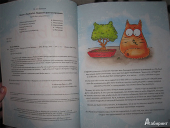 Брюгген Ван: Шьем с PookieСat. Подушки для настроения